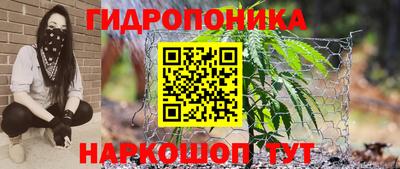 трава Ирбит