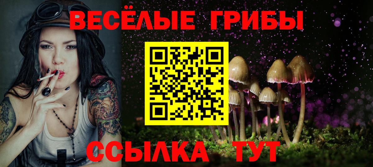 Галлюциногенные грибы мухоморы Куйбышев