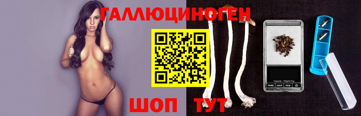 Куйбышев  Псилоцибиновые грибы ЛСД  Галлюциногенные грибы GOLDEN TEACHER  Вход с VPN 